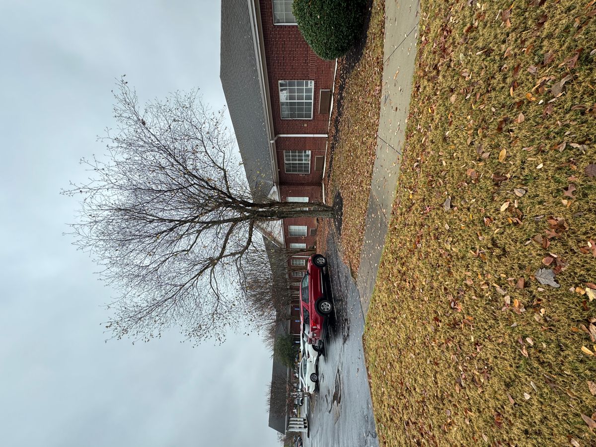 AHC Applingwood 3