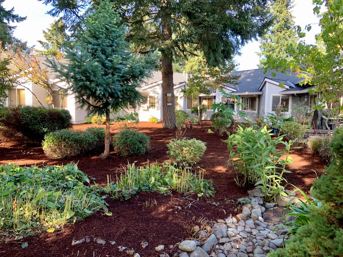 Magnolia Gardens Senior Living and Memory Care 3