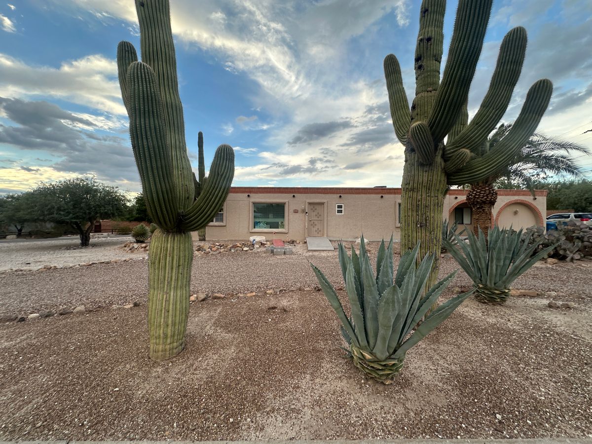 Las Palmas Assisted Living Home 3