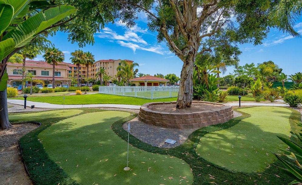 Paradise Village 4