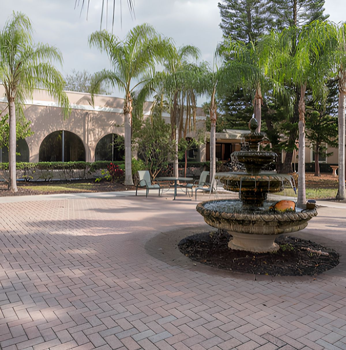 Cherry Oak Palm Beach County 2