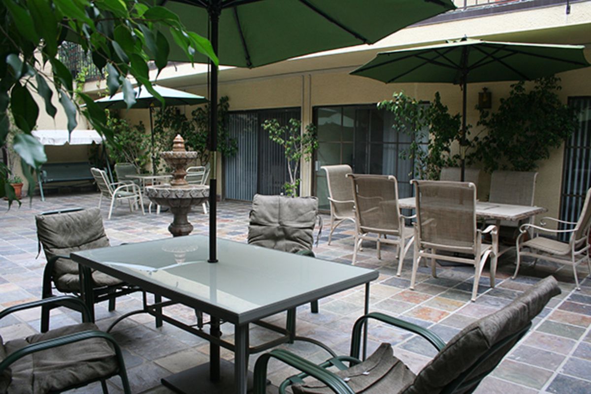 Garden Of Palms 3