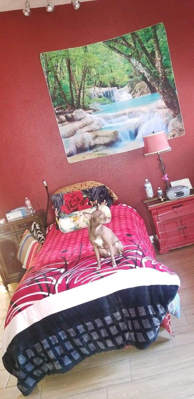 Precious Loving Home Care 4