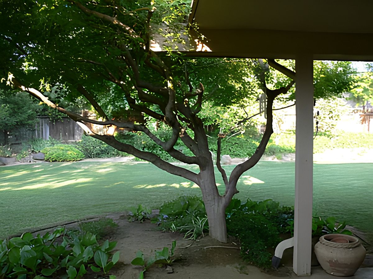 Nina's Home 3