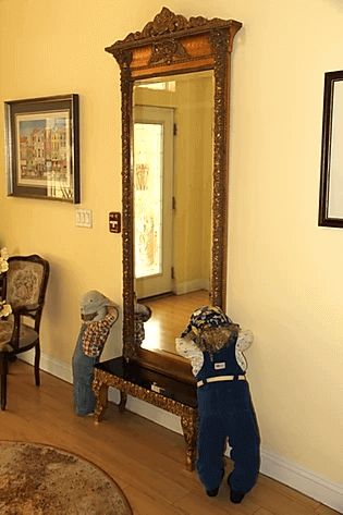 Royal Garden Board & Care Homes II 2