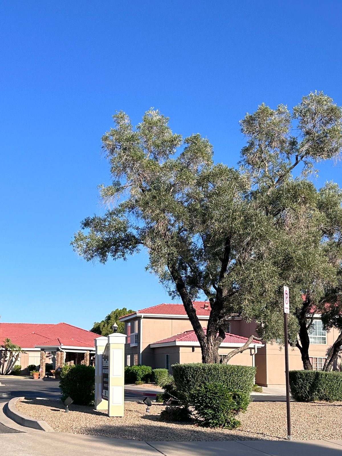 The Gardens of Scottsdale 3