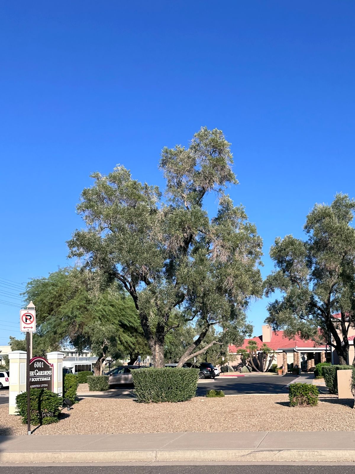 The Gardens of Scottsdale 4