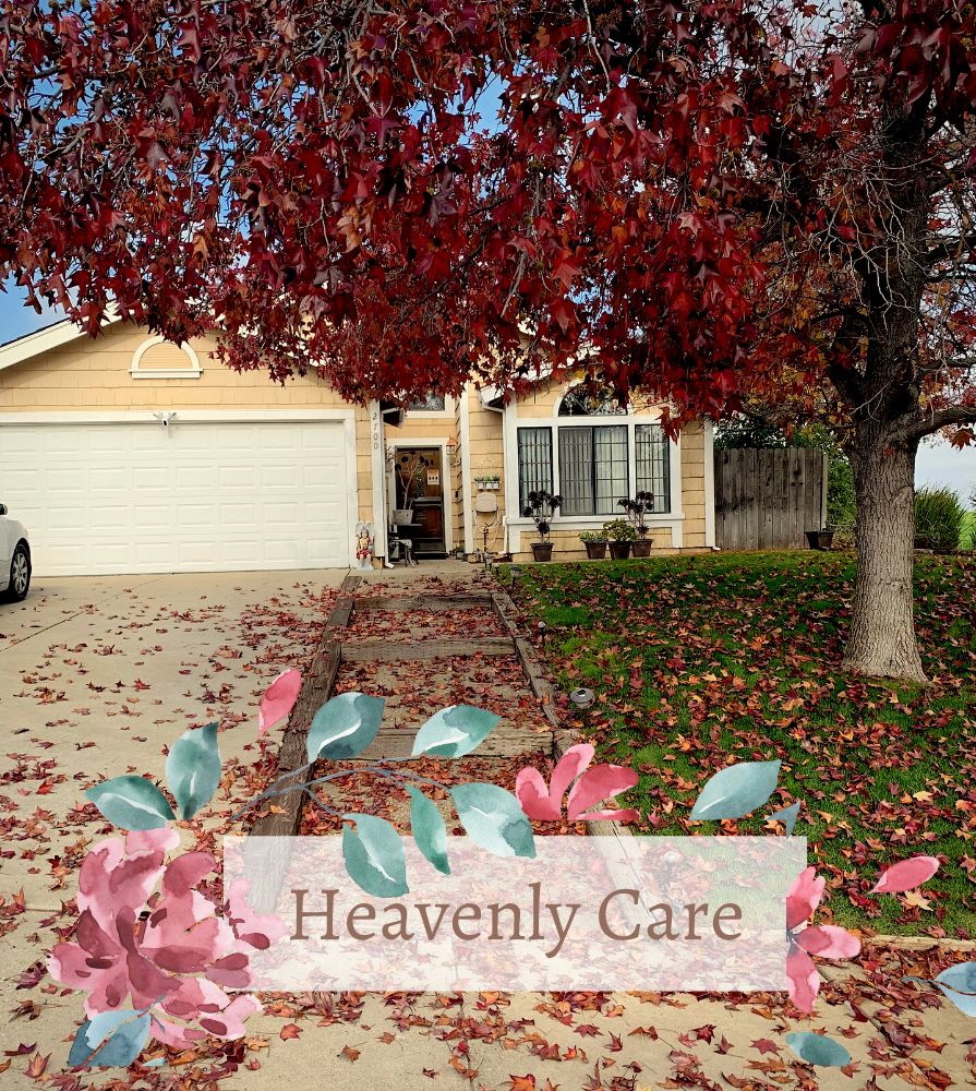 Heavenly Care 4