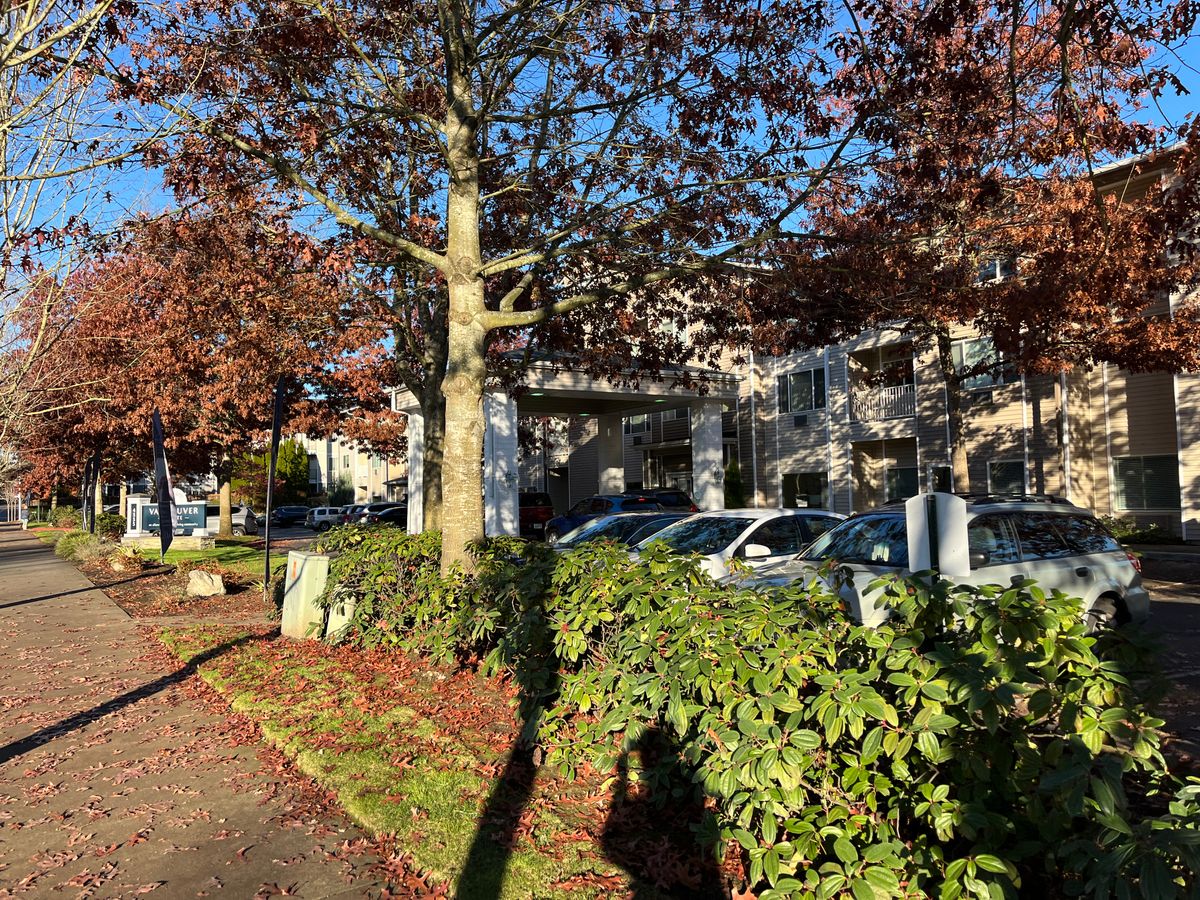 Vancouver Pointe 3