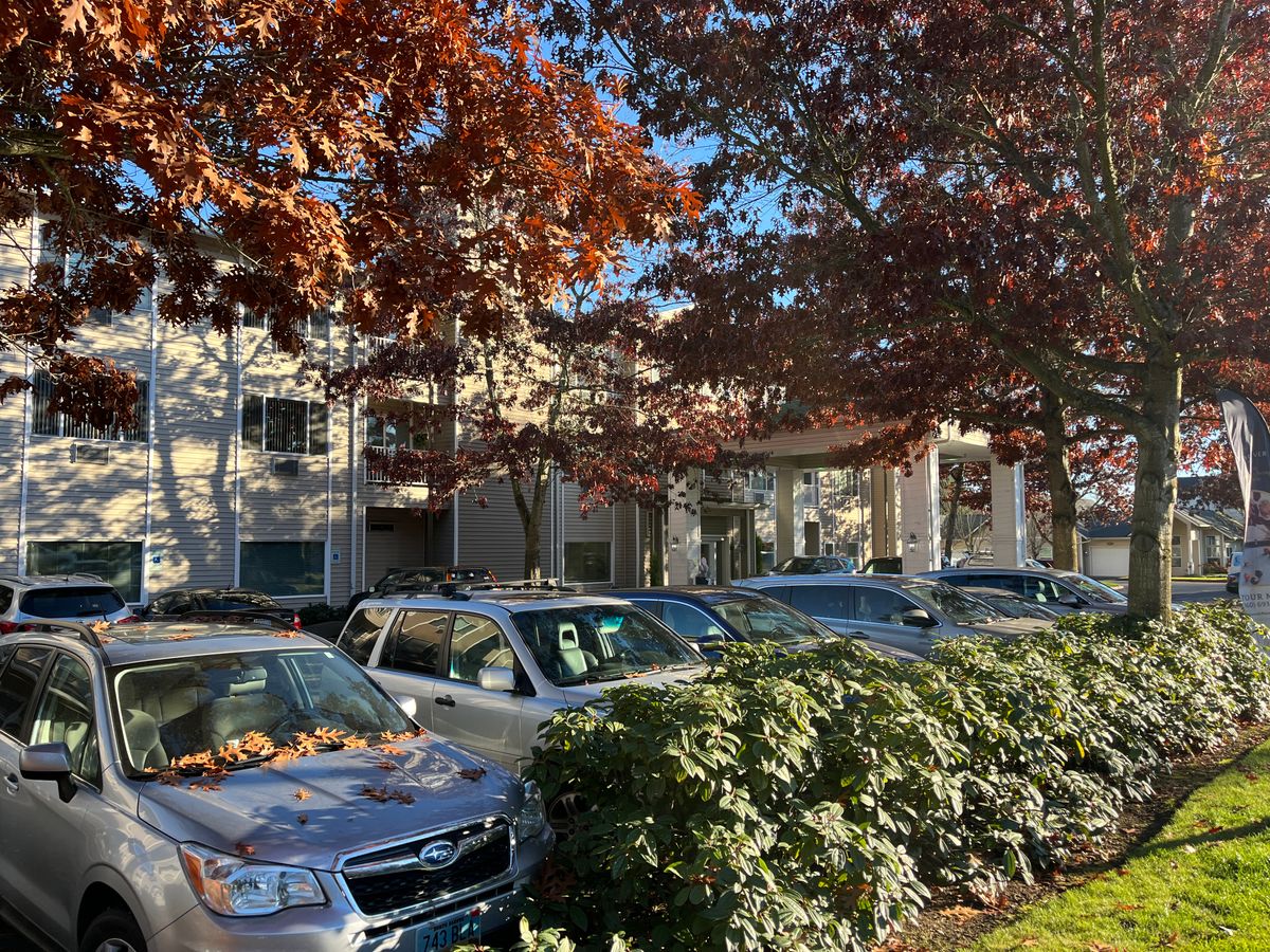 Vancouver Pointe 4