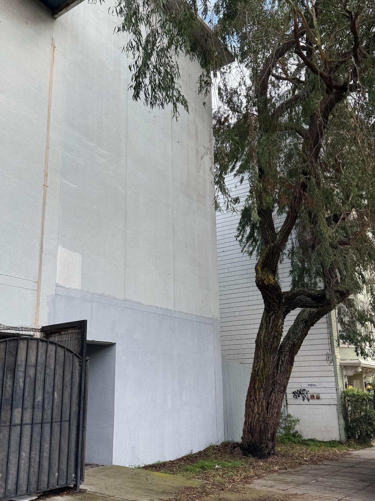 San Francisco Health Care 3