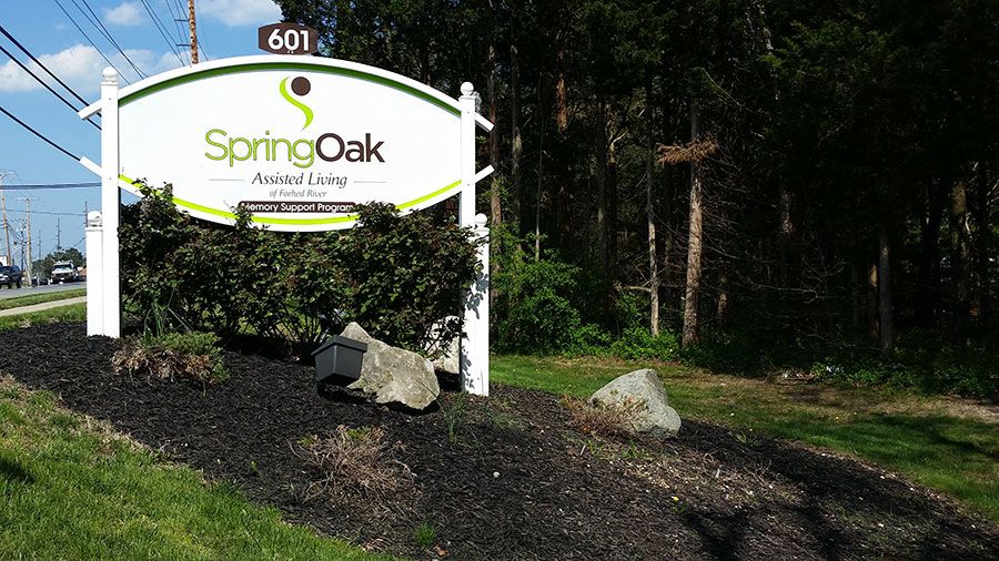 Spring Oak of Forked River 3