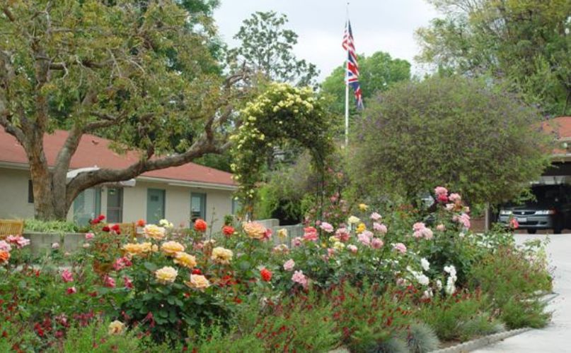 British Home in California Ltd 1