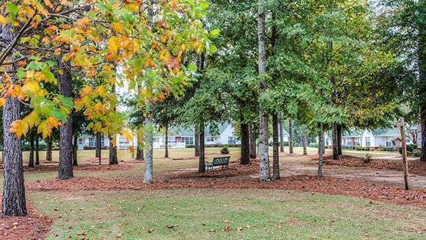 The Terrace At Grove Park 3