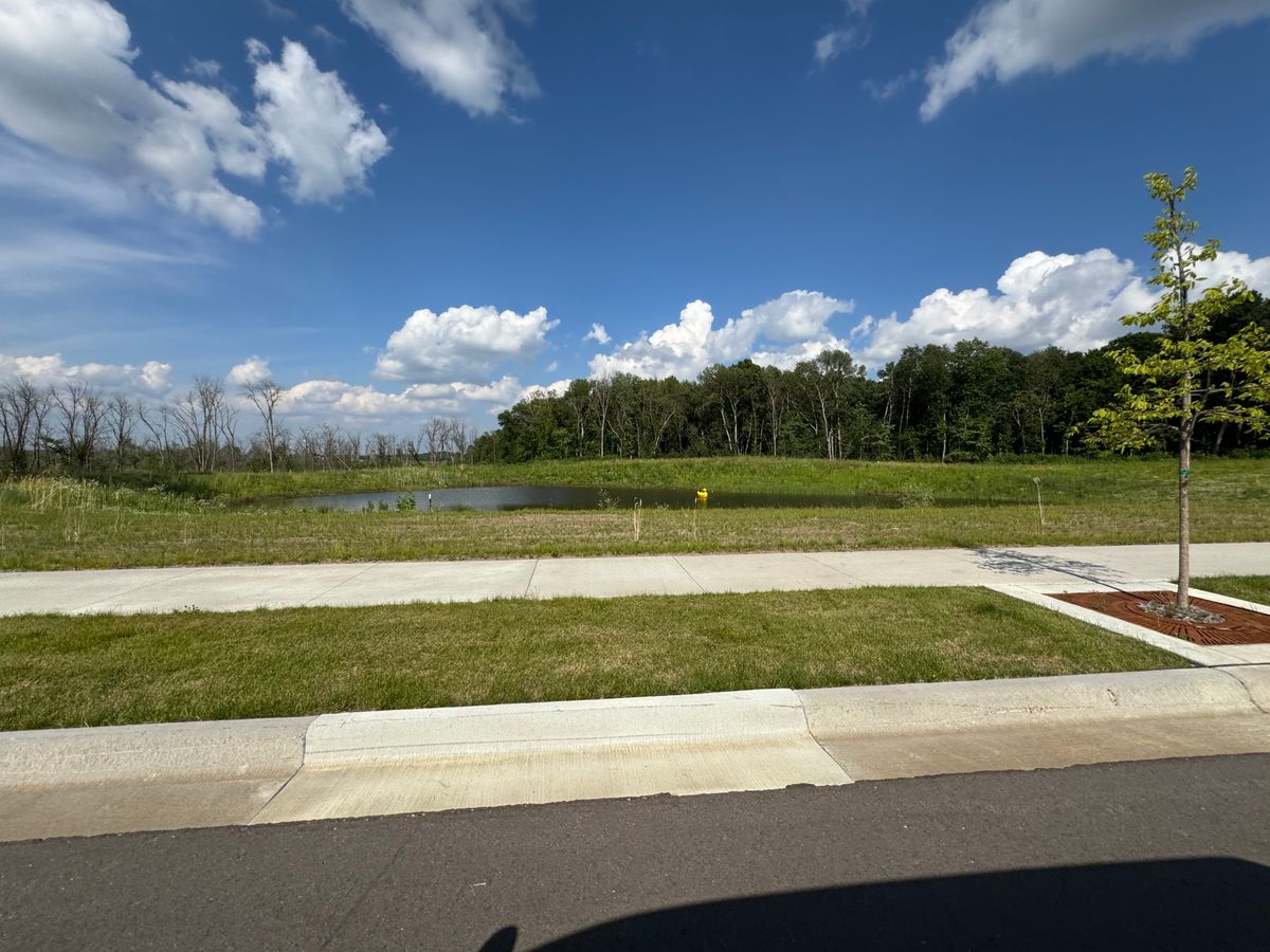 Saint Therese Of Corcoran  1