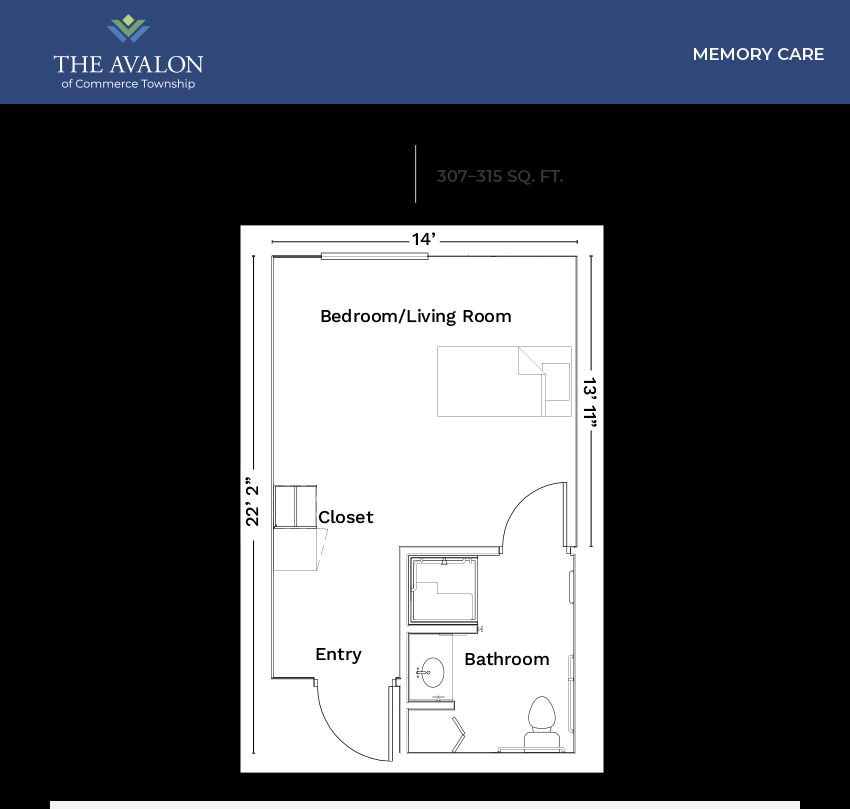 The Avalon Of Commerce Township 4