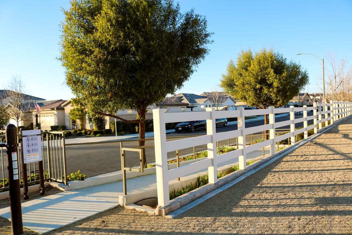 Blossom Home Care 3