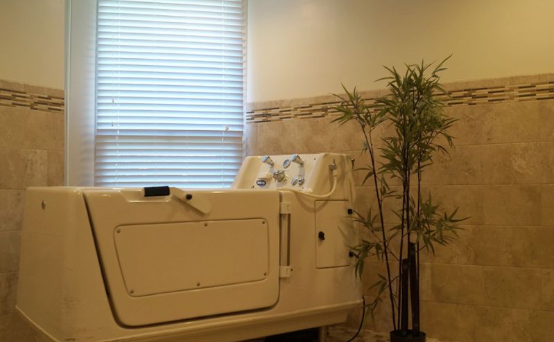 Willow Wood Care Center 2