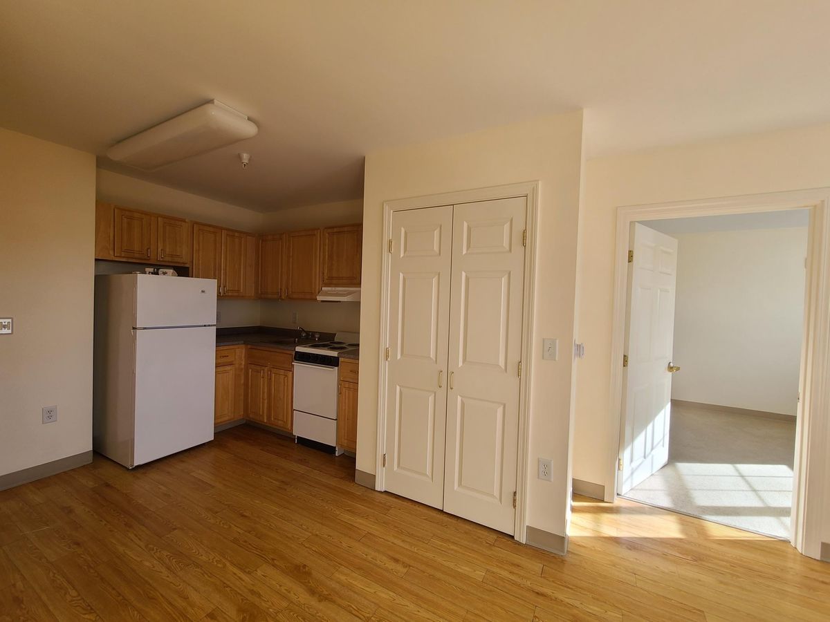 Sunlit and spacious one-bedroom apartment.