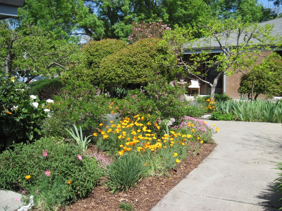 Friends House 2