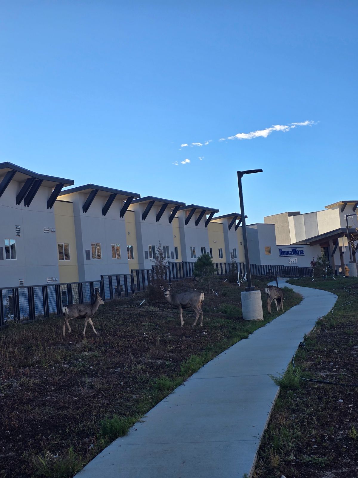 BridgeWater by Legacy Communities 1