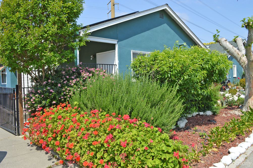 Nena & Ray's Guest Home 1 4