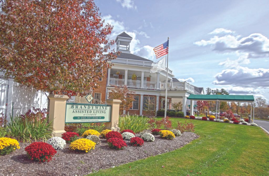 Brandywine Litchfield by Monarch 1