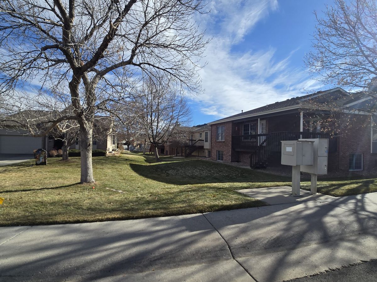 The Village at Highlands Ranch 4