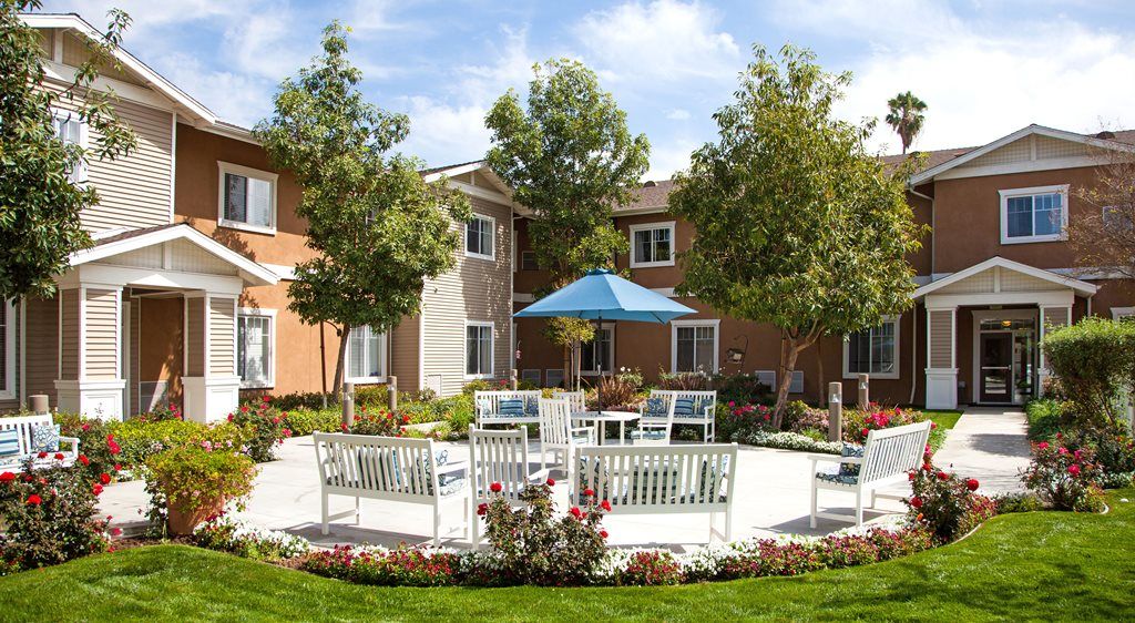Discovery Commons Raincross 4