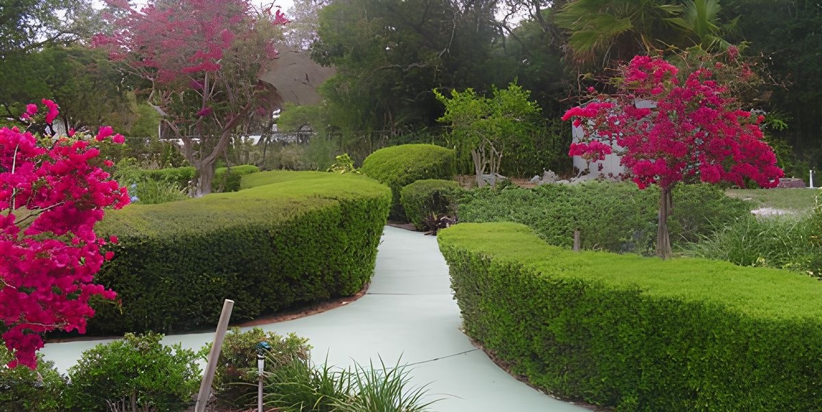 Bayshore Guest Home 2
