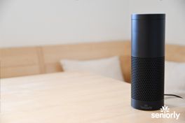 How_to_Use_Alexa_to_Help_Your_Aging_Parents_264x176