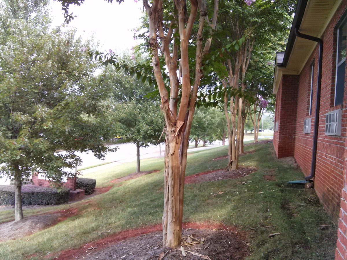 Highlands Senior Living South 2