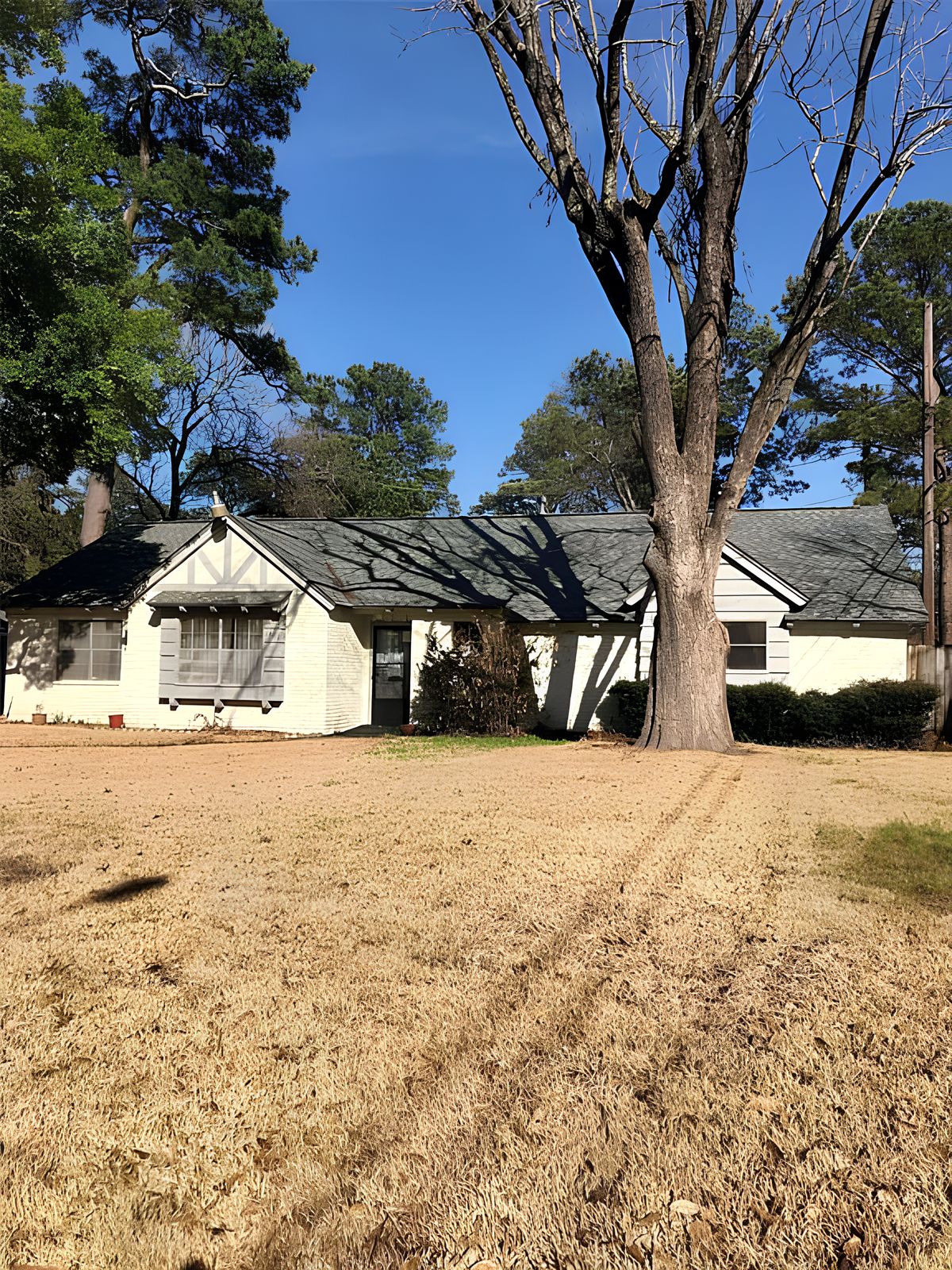 Marigold Cottage PCH at Waller 1