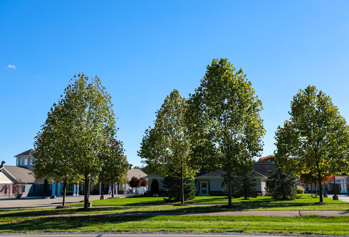 The Oaks At Woodfield 3
