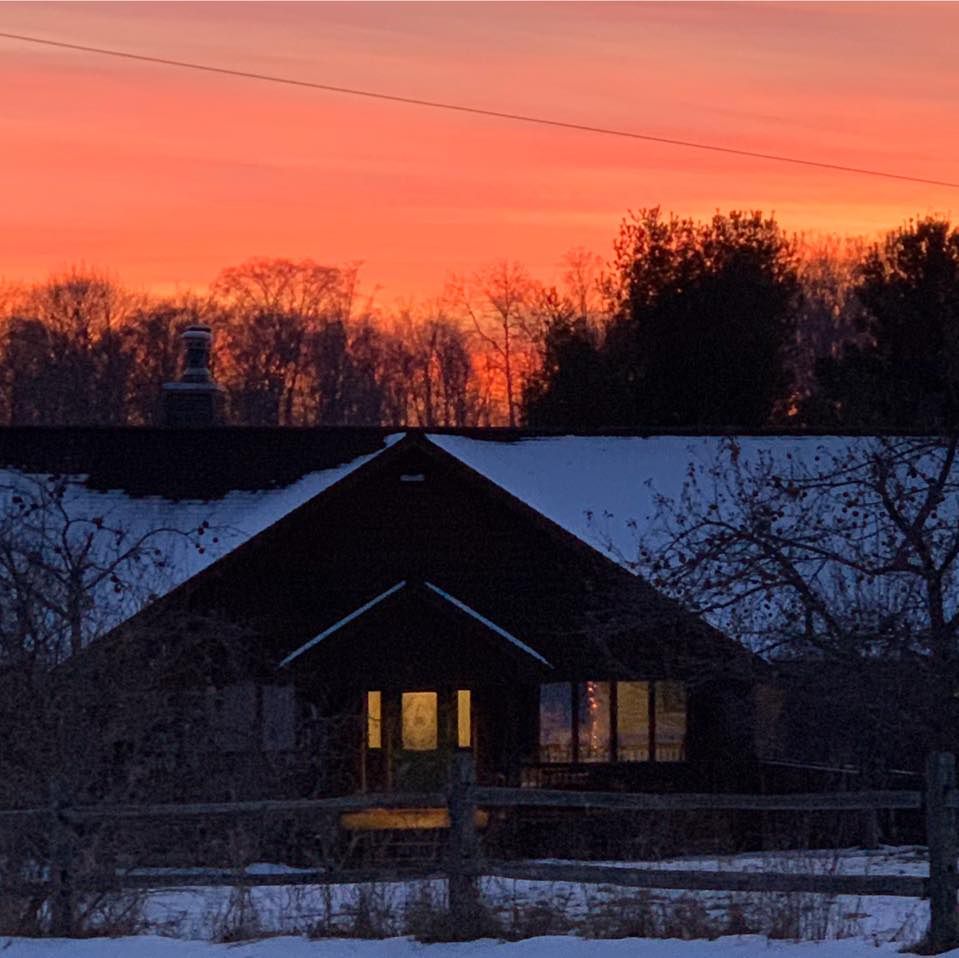 The Homesteader 3