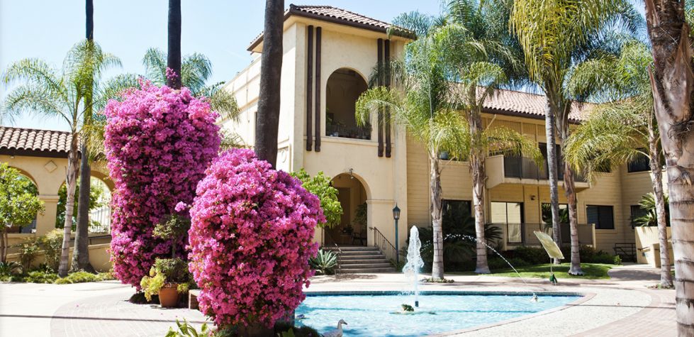 Hollenbeck Palms 1