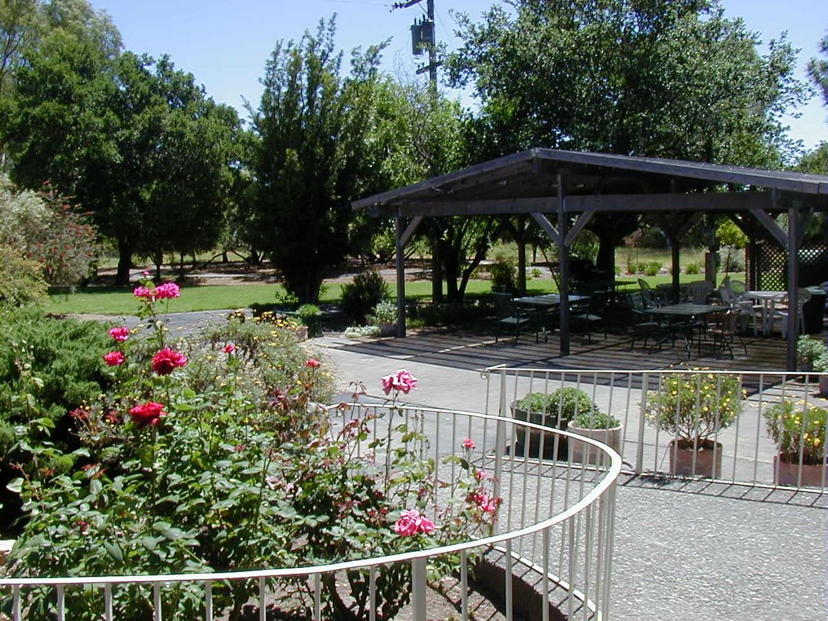 Sonoma Grove 1