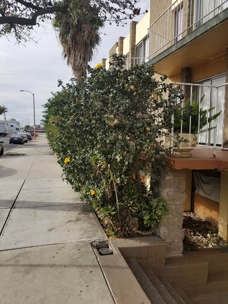 Country Inn Of Downey 4