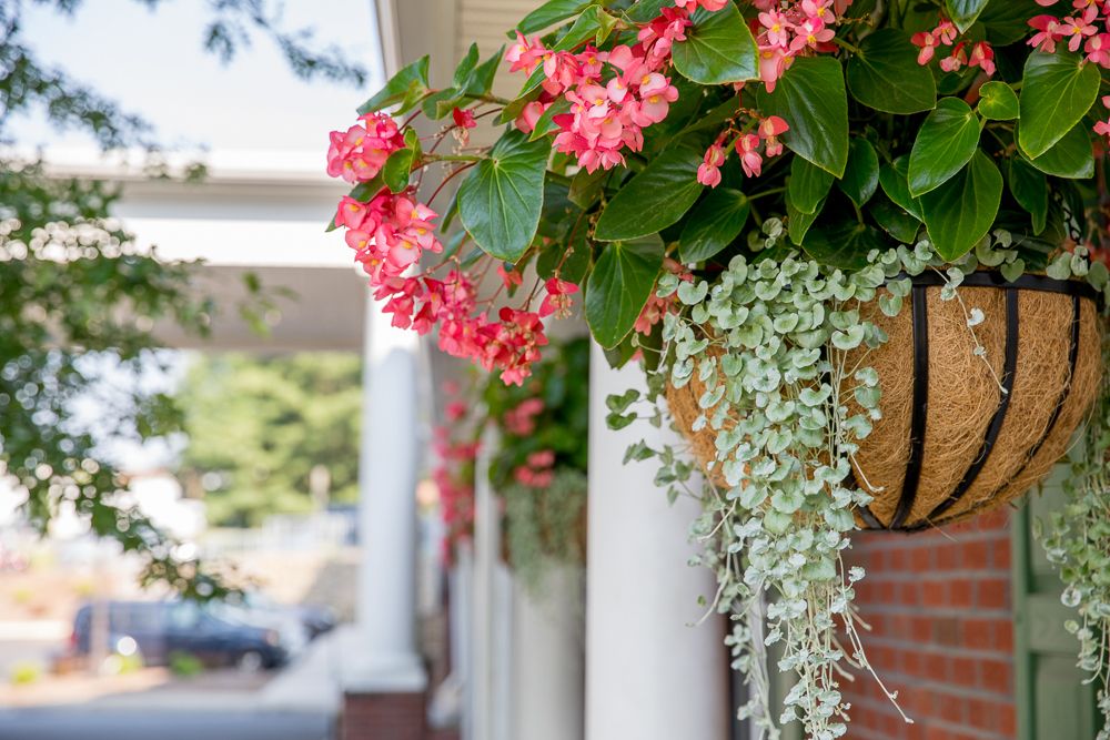 RoseWood Village at Greenbrier 3