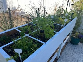 Pepper Tree Assisted Living II 4