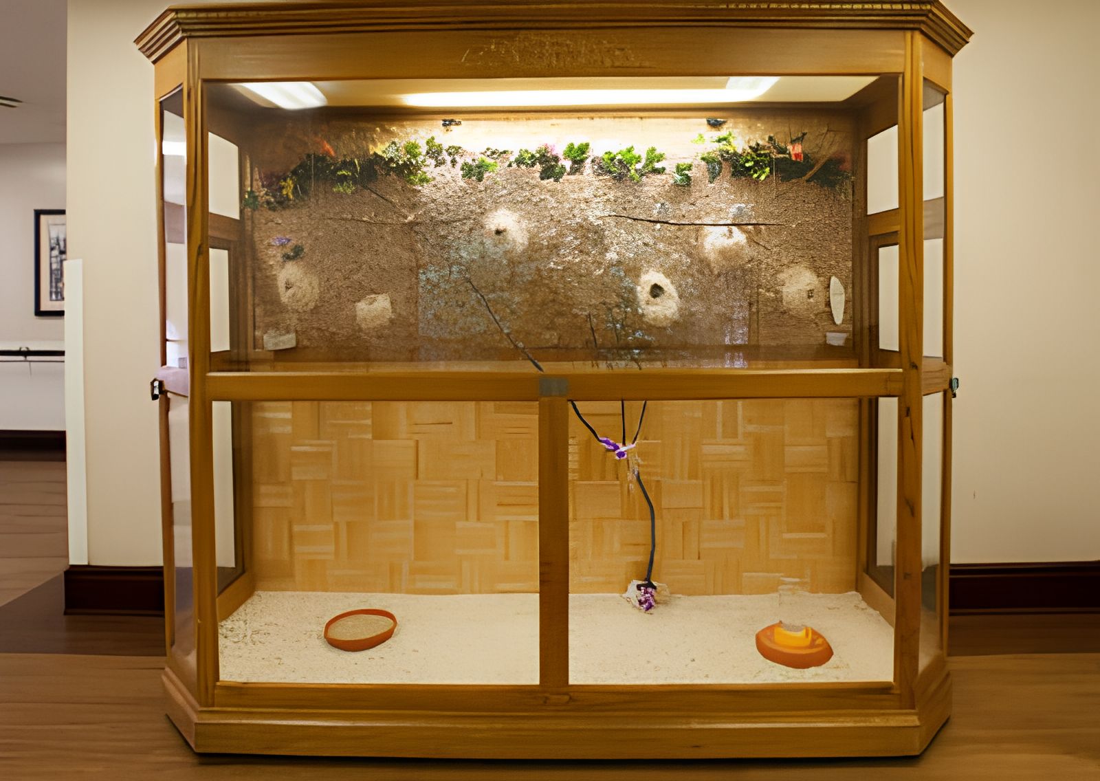 Harbor Villa Care Center (UPDATED) - Get Pricing in Anaheim, CA