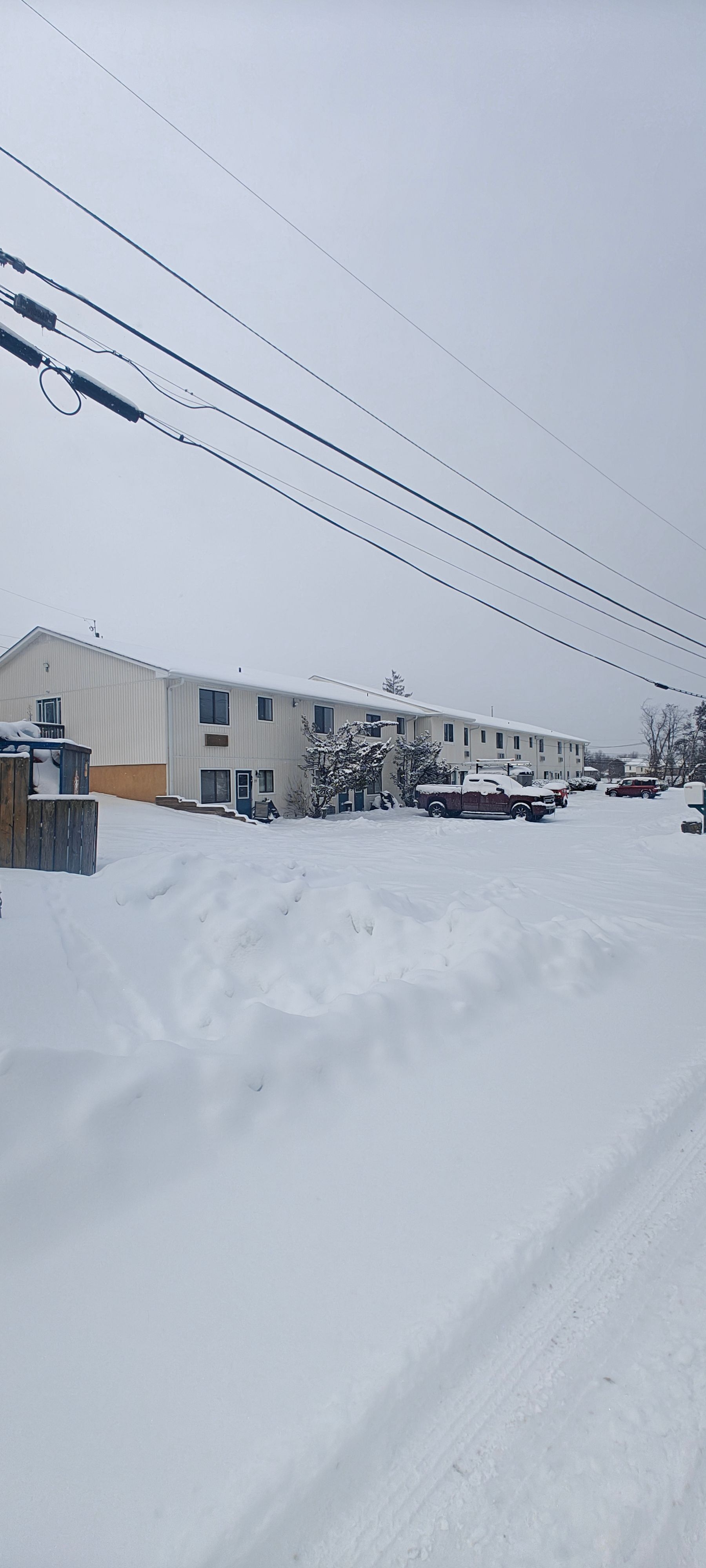 Spring Oak at Christiansburg 3
