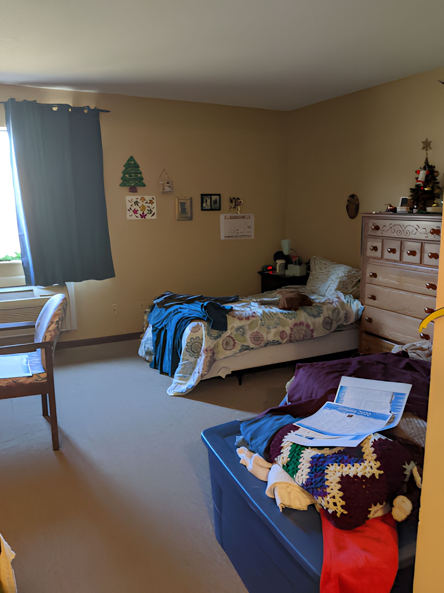 Avonlea Cottage Of Gladstone 2