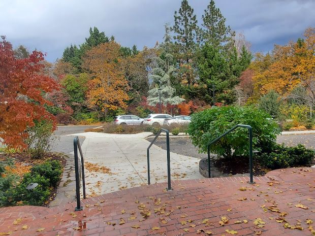 Celia's House In Holmes Park 2