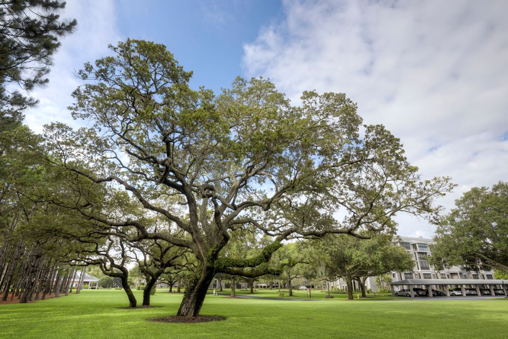 Regency Oaks Senior Living Community 4