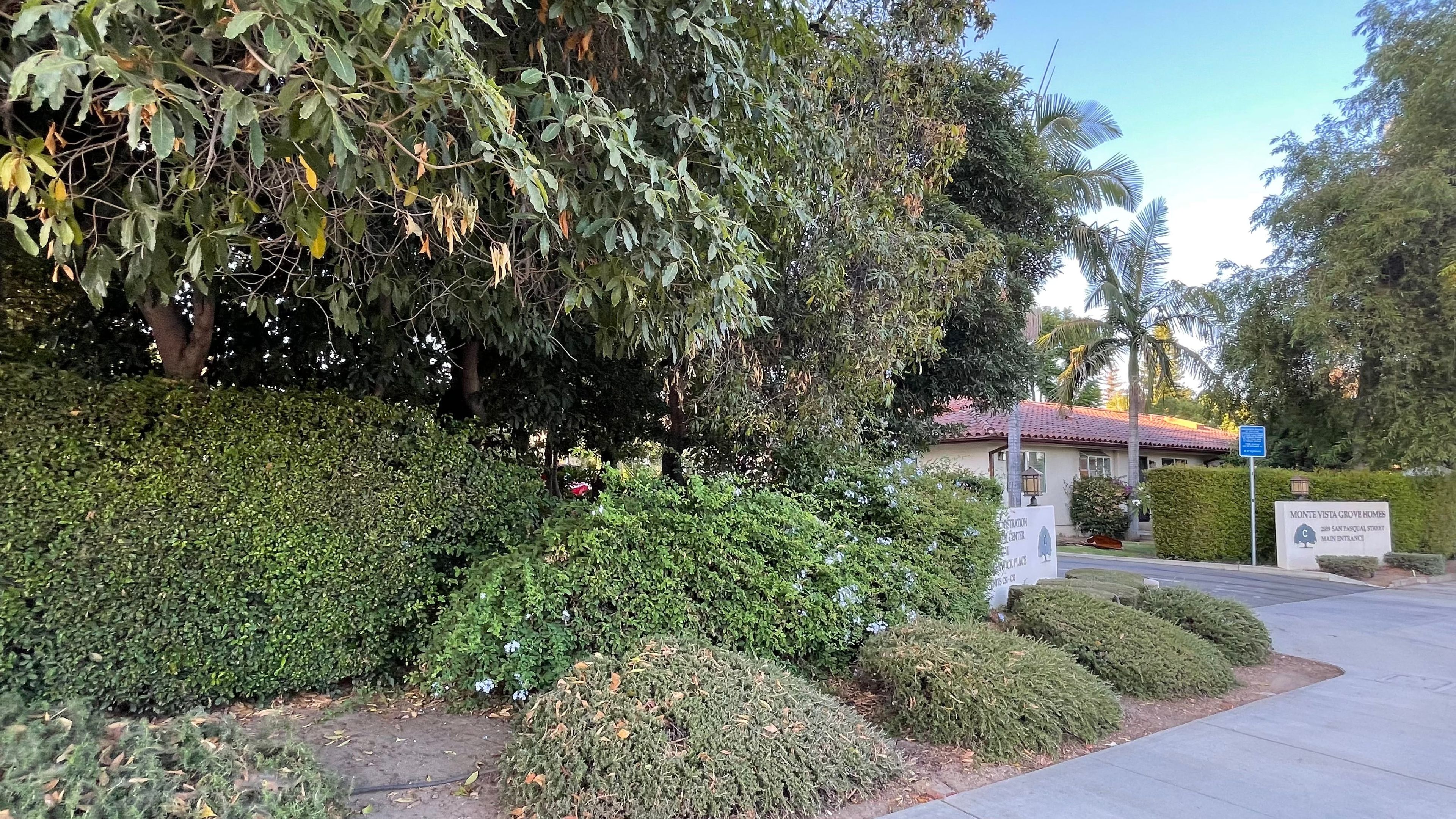 Monte Vista Grove Homes 4