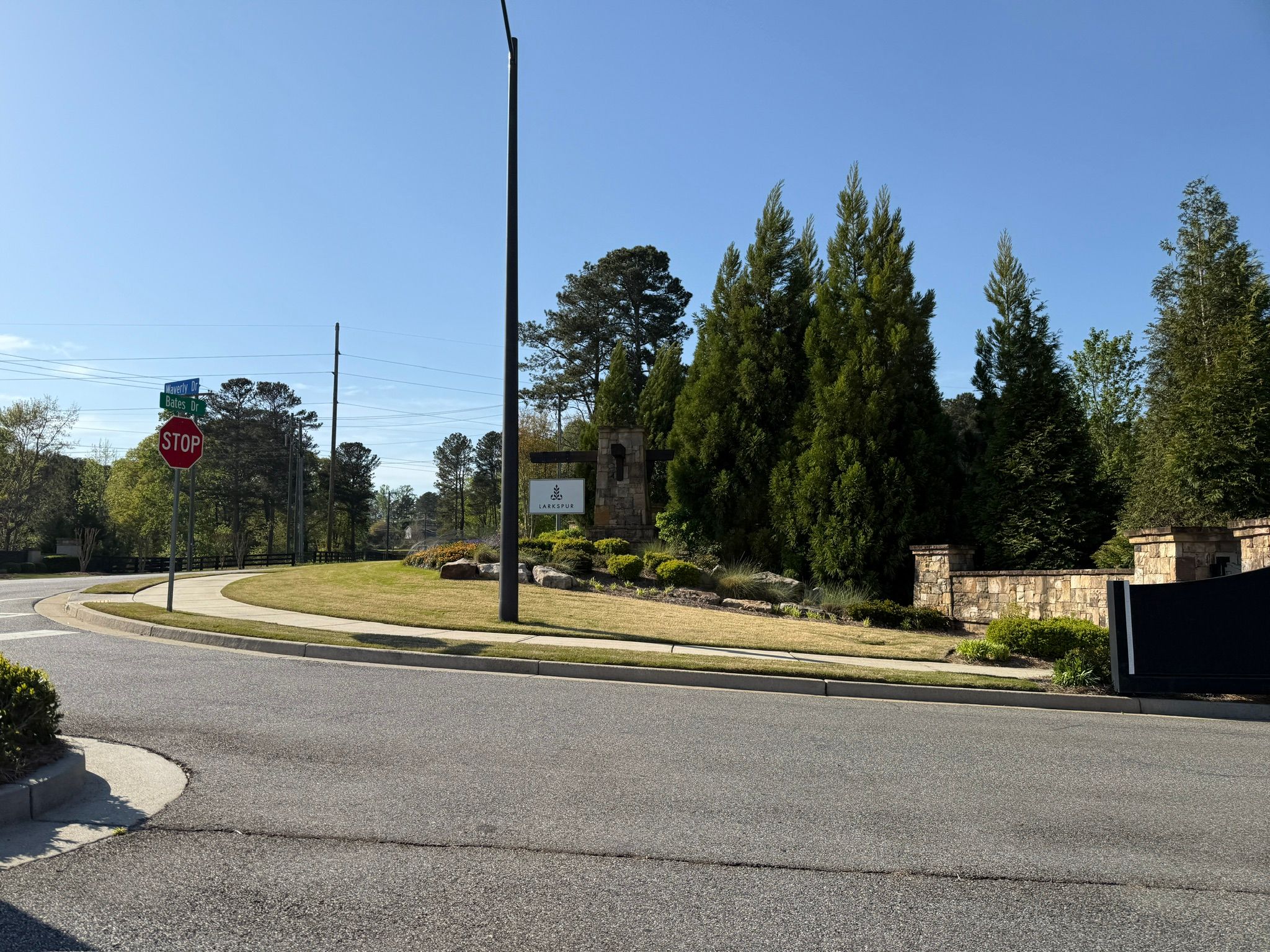 Larkspur 3
