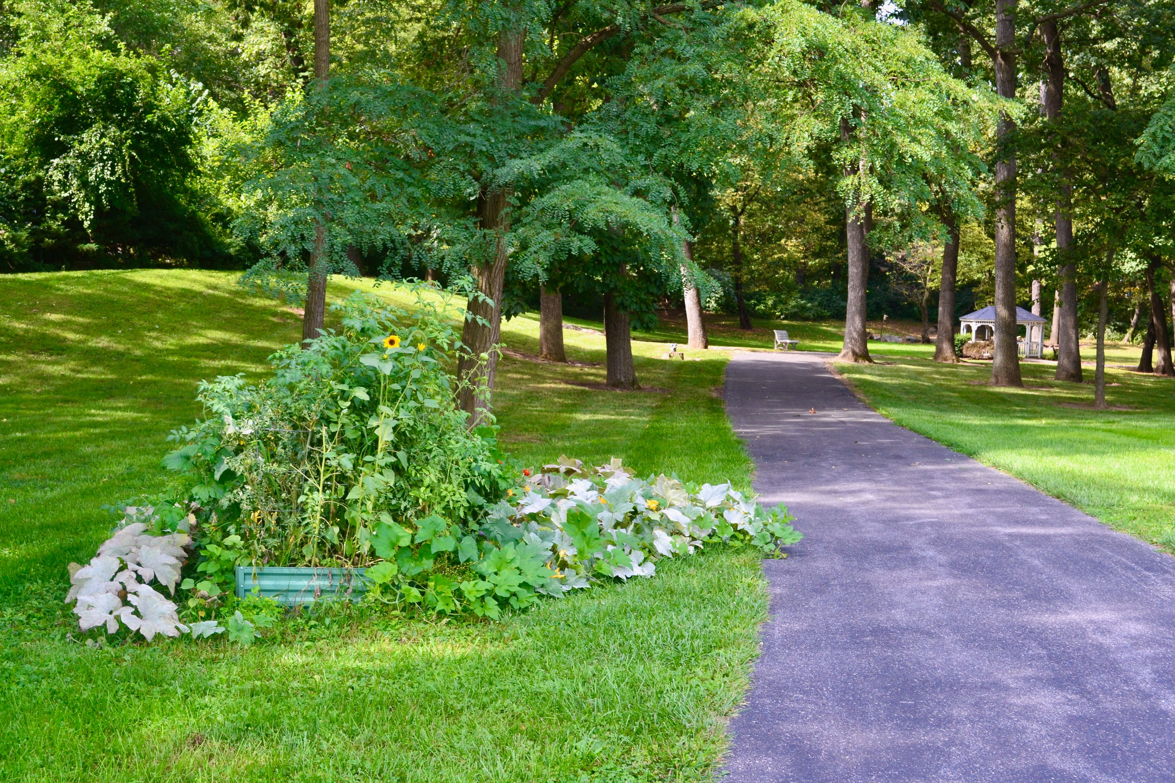 Providence Place Senior Living of Chambersburg 3