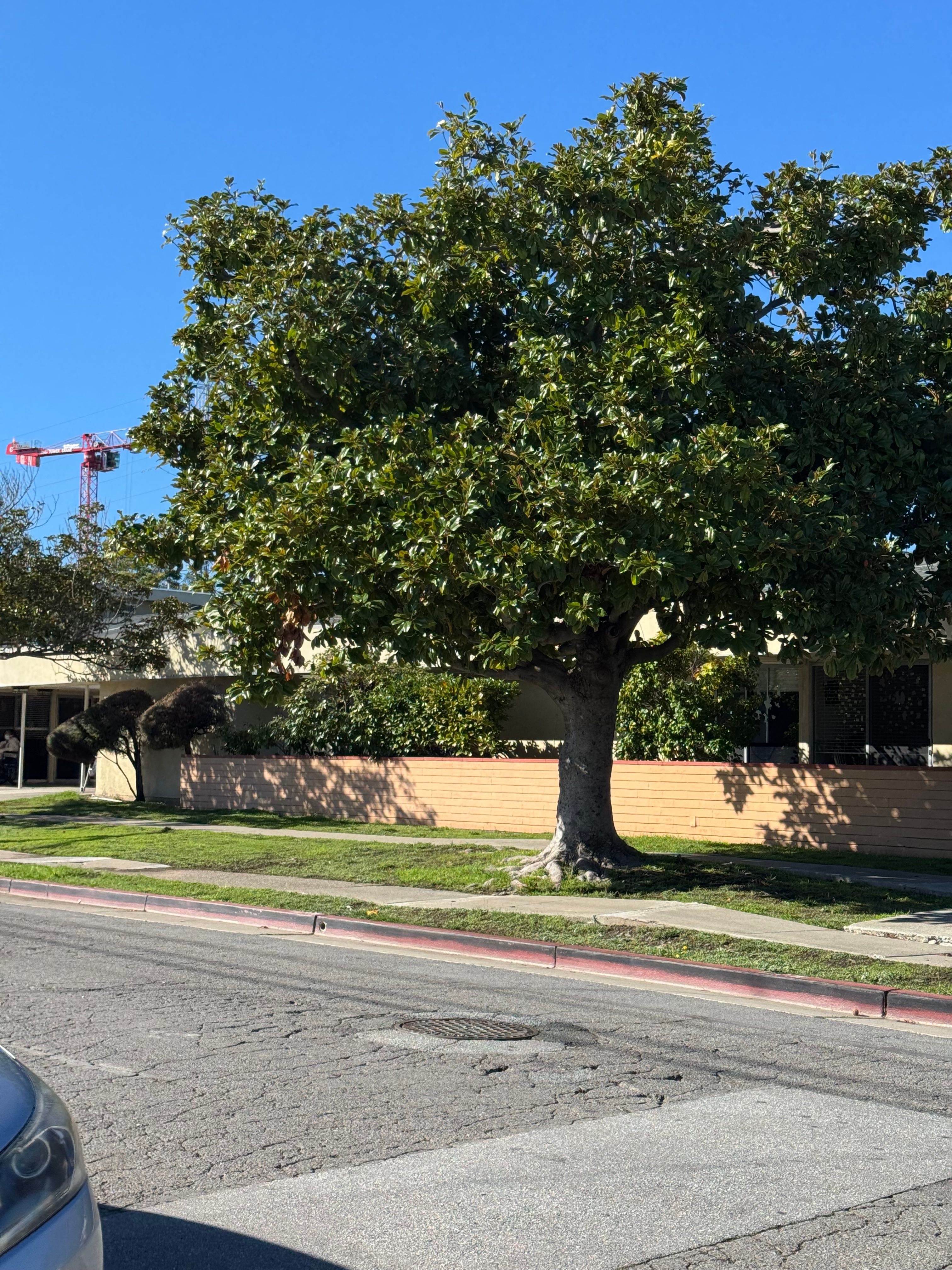 Millbrae Care Center 4