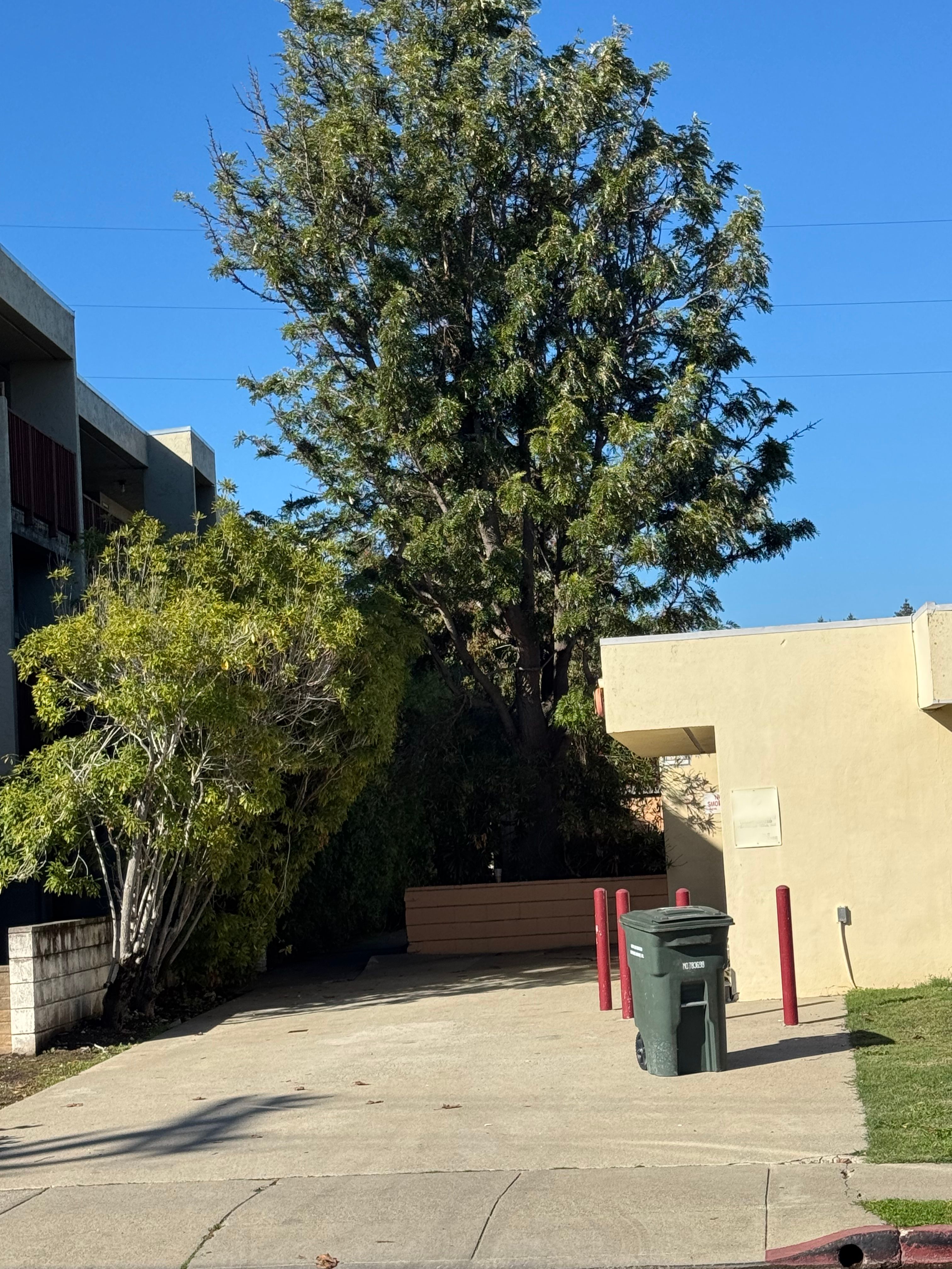 Millbrae Care Center 2